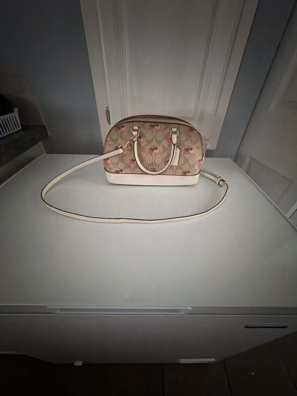 Coach Mini Sierra Satchel Strawberry Print